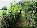 Footpath west of Claygate station in KT10 0PQ