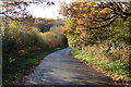 Road scene in Autumn in SA2 7TH