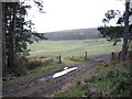 View east from track to Pett in AB34 4TD
