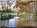 River Kird at Isling Bridge in flood in GU28 9JS