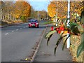 Autumn colours along Meridian East in LE3 3GB