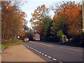 A21, Sedlescombe, East Sussex in TN33 0RG