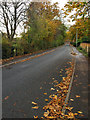 Autumnal Station Road, Hedon in HU12 8GF
