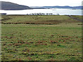 Grazing land above Loch Bay in IV55 8GB
