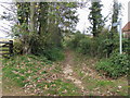 Public Bridleway N110 in Isle of Wight