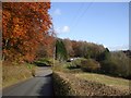 The road at Llwyn Hir in Rudry Community