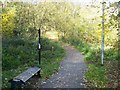Footpath Junction in Walderslade Wood in ME5 9BX