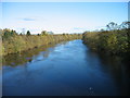 River North Tyne from Chollerford Bridge in NE46 4HJ