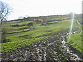 Muddy Bridleway near Heatheridge in NE46 4BN