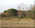 Disused railway bridge in a field in Themelthorpe