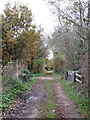 Bridge by footpath junction in NR10 4RR