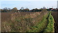 Footpath to Stowupland in IP14 4BU