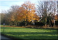 Autumnal scene at Stowupland in IP14 4BU