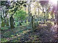 Churchyard in autumn, Over Wallop in Over Wallop