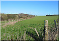Farmland under Brockington Down, Dorset in Gussage All Saints