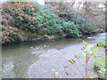 River Glaslyn near Bethania Bridge in LL55 4NH