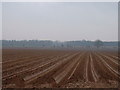 Ploughed field in IP24 2RY