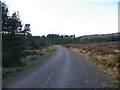 Forest Track on Beinn nan Gearran in IV19 1NG