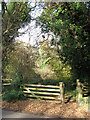 Footpath through Stonyhills Plantation in NR12 8HF