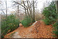 Footpath junction in Sproud's Woods in TN4 8TX