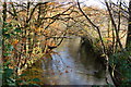 River Avon from a small un-named packhorse bridge in TQ9 7PH