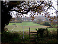 Hillside footpath, Goodrich in HR9 6JF