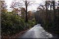 The road to Diptford from Avonwick in TQ10 9LY