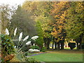 Autumn colours in the park at Chilwell in NG9 5GQ