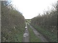 Potholed minor road between high hedges in LL63 5TY