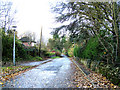 Shrubbery Road Ketley in TF1 5NE