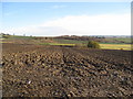 Parkgate Lane - View across farmland in S43 2QG