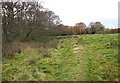 Footpath skirting the Common in NR12 9AA