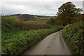Country road near Nymet Rowland in EX17 6AR