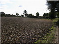 Field off Stanley Hill in HP7 9HJ