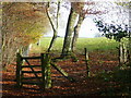 Bridleway gate in SP5 5LR
