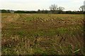 Field north of Elm Copse in RG17 0RD