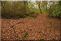 Towards Elm Copse in RG17 0RD