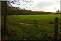 Edge of Elm Copse in RG17 0RD