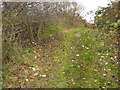 Path on Erewash Field in NG10 2FR