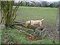 Old trough near Dean Hill Farm in SP5 1HW