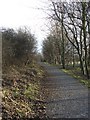 Tree Lined Footpath in NE26 4AE
