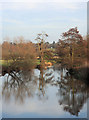 Reflections in the Stour in CO7 6AA