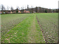 Grassy footpath, Colwall Green in WR13 6ED