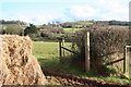 Butterleigh: farmland in the Burn valley in EX15 1PR