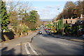 Looking North along Sandhurst Rd in TN2 3SP