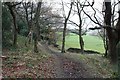 Footpath through Mathewman's Wood in HD8 8AX