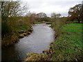 River Yarty in EX13 5RJ