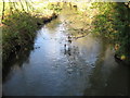 Blackwater River in Swallowfield (1) in RG7 1TD
