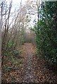 High Weald Way through High Wood in TN3 9AD