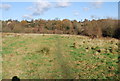 High Weald Way across a field, just in E. Sussex in TN2 5HG